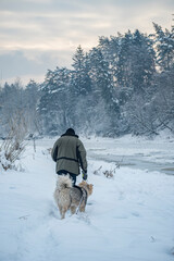 Hiking with a dog near Neris river, Vilnius, Lithuania. Old unknown man with Alaskan Malamute puppy walking on the river side. Selective focus on the details, blurred background.