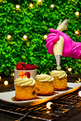 christmas cake with christmas decoration