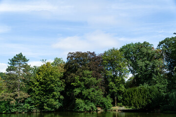 Fototapeta na wymiar View to the lake shore with trees and blue sky