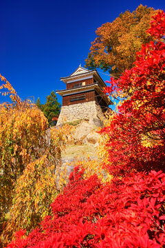 上田城の南櫓と西櫓とドウダンツツジなどの紅葉, 日本,長野県,上田市