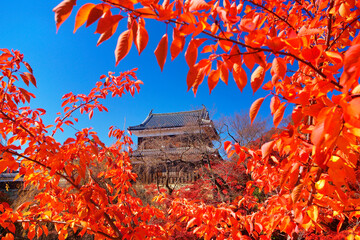 上田城の北櫓とサクラの紅葉, 日本,長野県,上田市