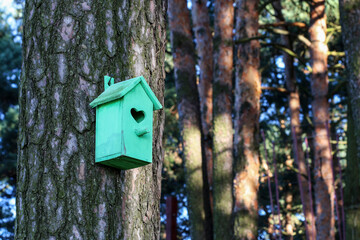 Bird house in the garden.
