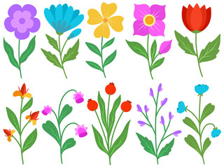 Flower Illustration for wedding card design
