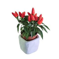 red hot chilli peppers over white