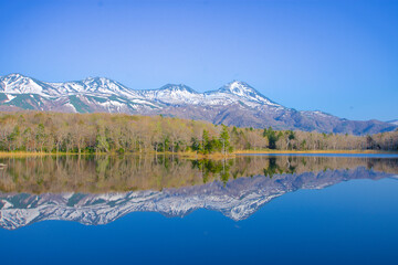 Nature photography,Shiretoko,World Natural Heritage Site,森林の風景　北海道・知床半島　世界自然遺産１７