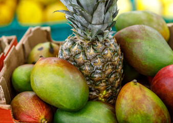 Fresh ripe pineapple and mango at the street market.