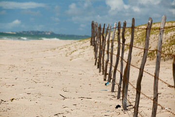 Empty beach view with no people ocean and sea