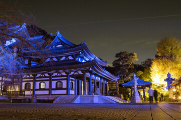 Main hall of Hasedera Temple lit up in blue during autumn, Kamakura,...