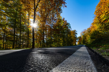 Country road on a sunny autum fall day in Menden Sauerland with colorful foliage on tall beech trees along the street. Indian summer forest panorama from frog perspective in rural area of Germany.