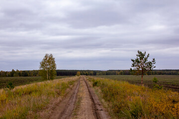 Fototapeta na wymiar Roads of the Kurgan region. Dirt roads in autumn fields in Russia.