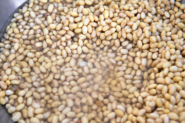 Soaked soybeans close-up