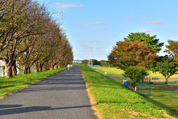 平塚相模川土手の遊歩道