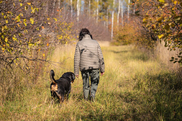 a woman walks through the autumn garden next to her big dog. zinnenhund in autumn