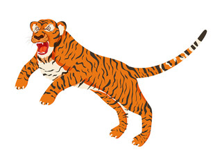 Isolated Tiger Roaring On White Background.