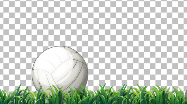 Volleyball  on the grass field on transparent background