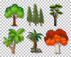 Set of variety trees on transparent background