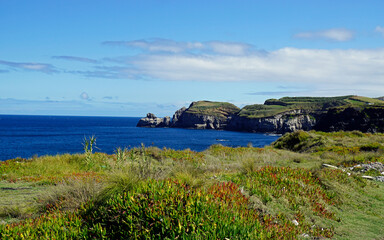 natural green scenery on the azores islands