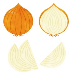 玉ねぎ イラスト素材 カット