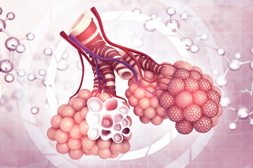 Alveoli in lungs. 3d illustration