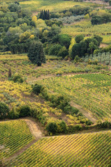 tuscan landscape with fields and vineyards