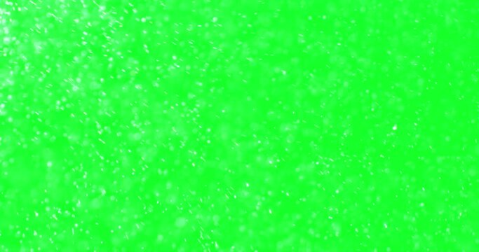 Falling chaotic snowflakes isolated on a green screen background, winter falling snow.