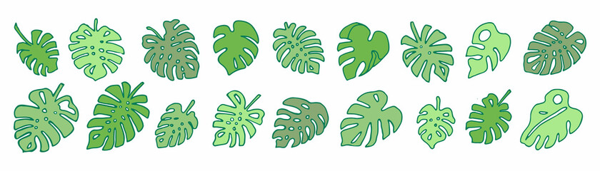 Obraz premium monstera leaves set.Set of tropical leaves. Vector illustration. simple leaves set. Set of green tropical Monstera leaves isolated on white background. 