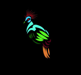 hand draw colorful bird logo template .bird clipart 