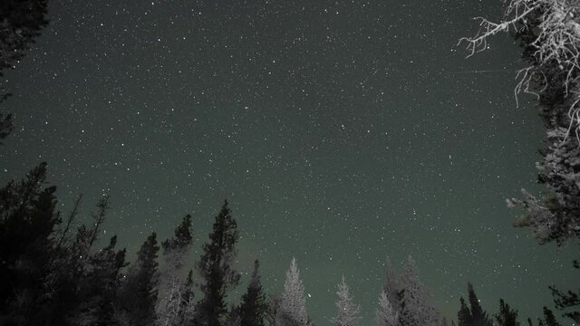 Astro Timelapse Northern Hemisphere, ring of conifer trees, wide star field and cloud movement