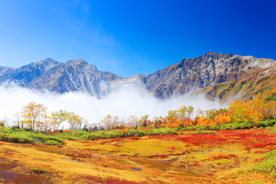 紅葉と白馬岳と白馬三山, 長野県,小谷村