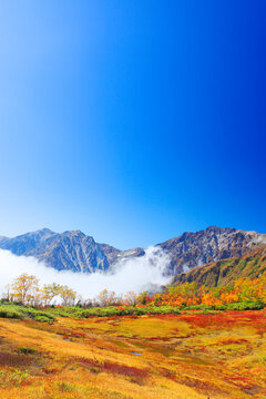 紅葉と白馬岳と白馬三山, 長野県,小谷村