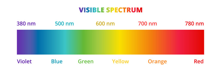 Visible light spectrum diagram isolated on a white background. Color electromagnetic spectrum visible to the human eye. Violet, blue, green, yellow, orange, and red color gradient. - obrazy, fototapety, plakaty