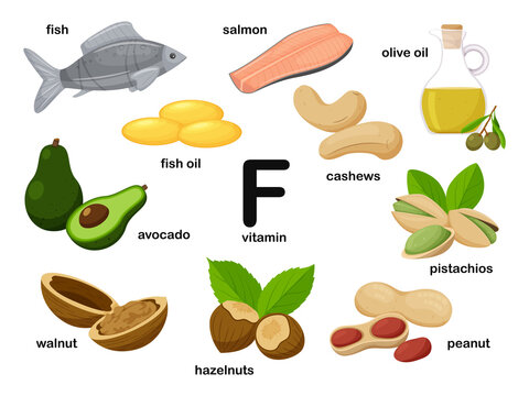 Rectangular poster with food products containing vitamin F. Linolenic and arachidonic acids.Medicine, diet, healthy eating, infographics. Flat cartoon food illustration isolated on a white background.