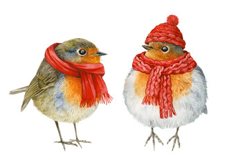 Watercolor set of winter birds in a hat and scarf. Christmas or New Year's illustration.