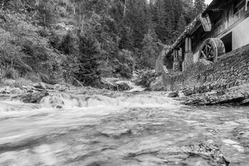 Summer mountain landscapes. Glimpses of poetry. Black and white.