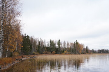 Fototapeta na wymiar 冬を迎える景色、湖畔