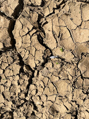 Cracked ground during drought, tragedy of lack of water in riverbed