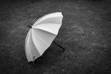 Black and white umbrella on grass background. umbrell on black background feel blue pattern