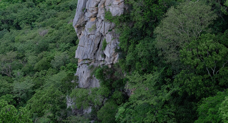 background image contains forest and rocky cliffs