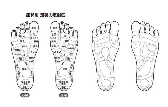 足ツボ の画像 8 924 件の Stock 写真 ベクターおよびビデオ Adobe Stock