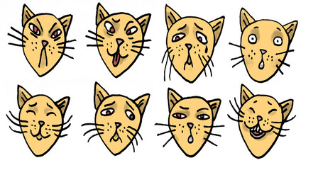 set of funny cat face with expression