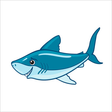 shark. Cute drawn vector isolated illustration in children's cartoon style.