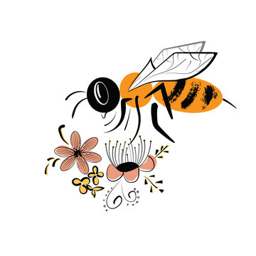Vector image of the title-honey with a bee collecting nectar from flowers.