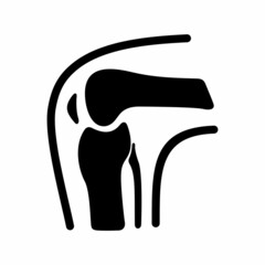 Knee joint anatomy of human leg