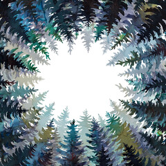 Pine, spruce tree topes on white sky background,  view from bottom. Coniferous forest, tree crones watercolor illustration