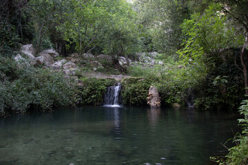waterfall in the forest