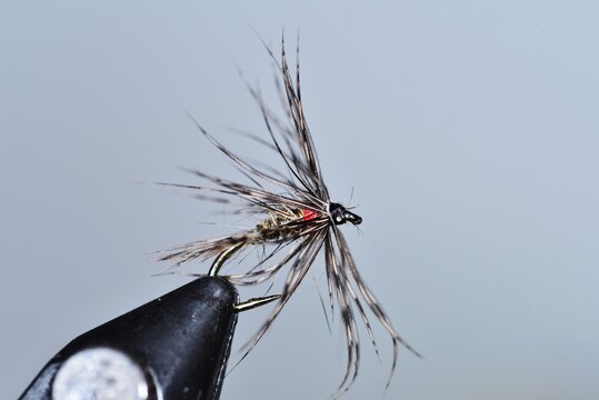 soft hackle trout fly