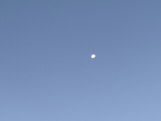 the Moon in the morning sky