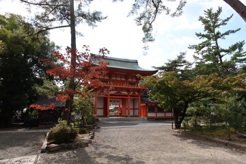  Temples and Shrines in Kyoto in Japan 日本の京都にある神社仏閣 : Ro-mon Gate  in the precincts of Imamiya-jinja 今宮神社の境内にある楼門