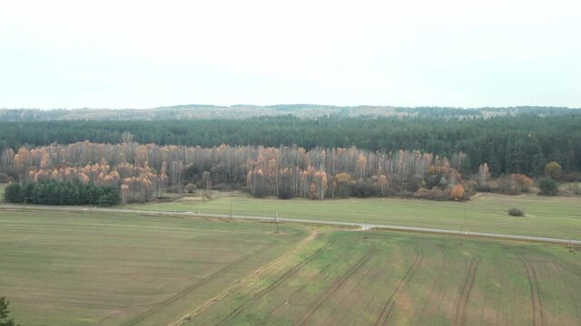 AERIAL: Plains with Forest and Empty Road in Background