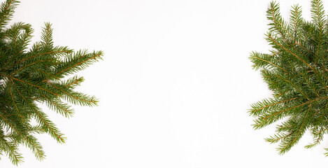 Fototapeta premium christmas tree branches on the white